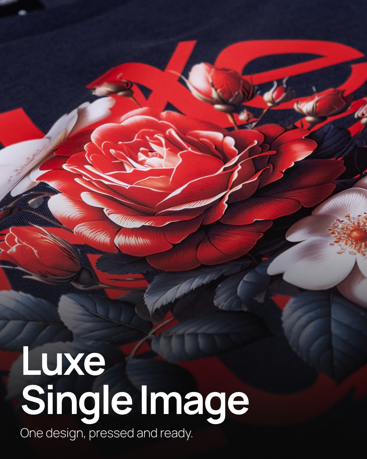 Luxe Premium Single Image Transfers
