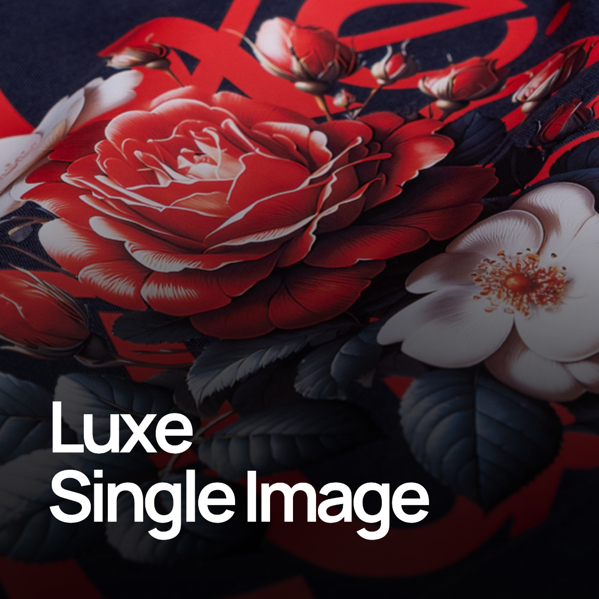 Luxe Premium Single Image Transfers